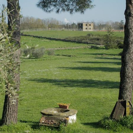 Bed and Breakfast Il Casale Di Gardenia Cesano Екстер'єр фото