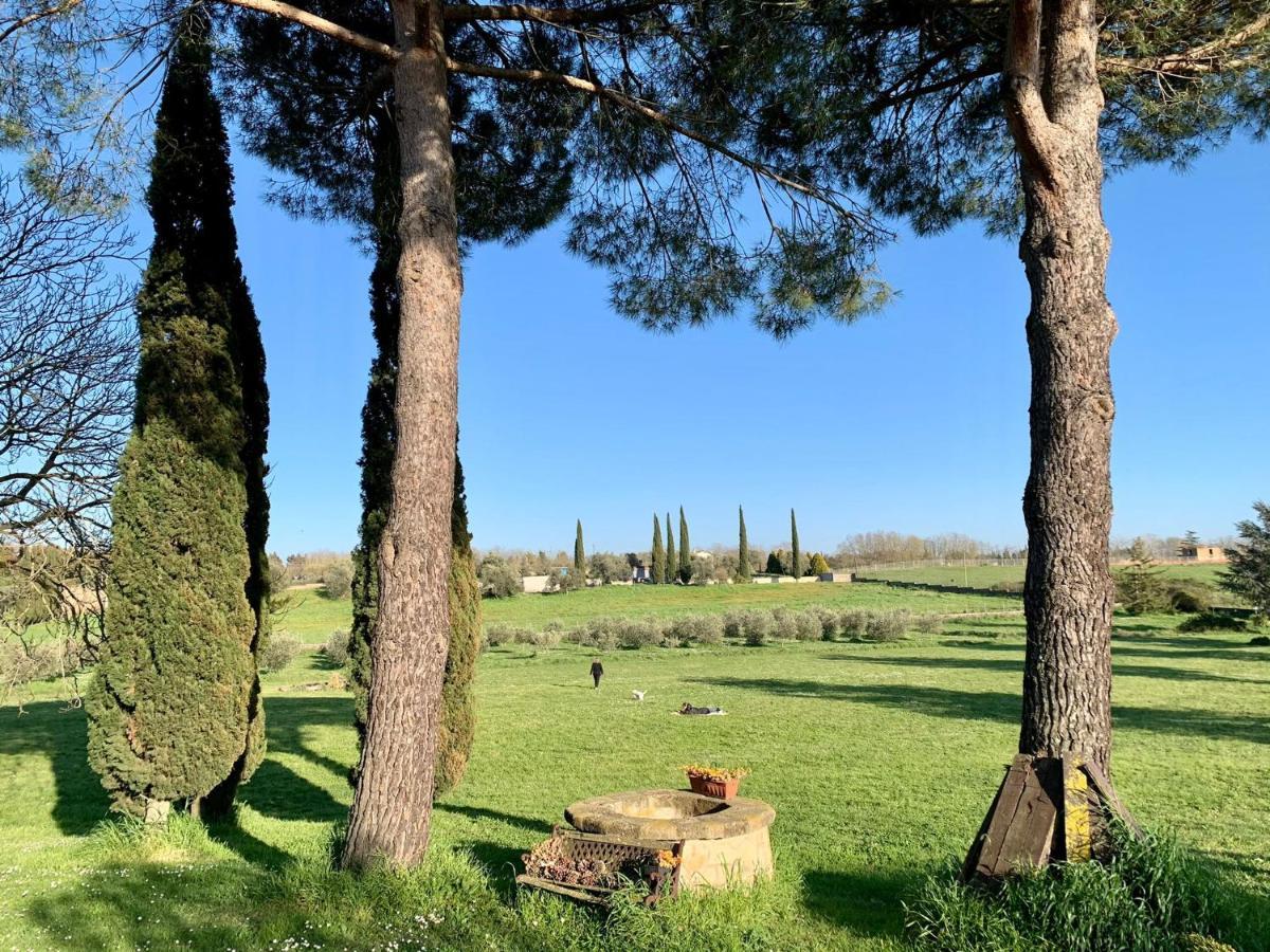 Bed and Breakfast Il Casale Di Gardenia Cesano Екстер'єр фото