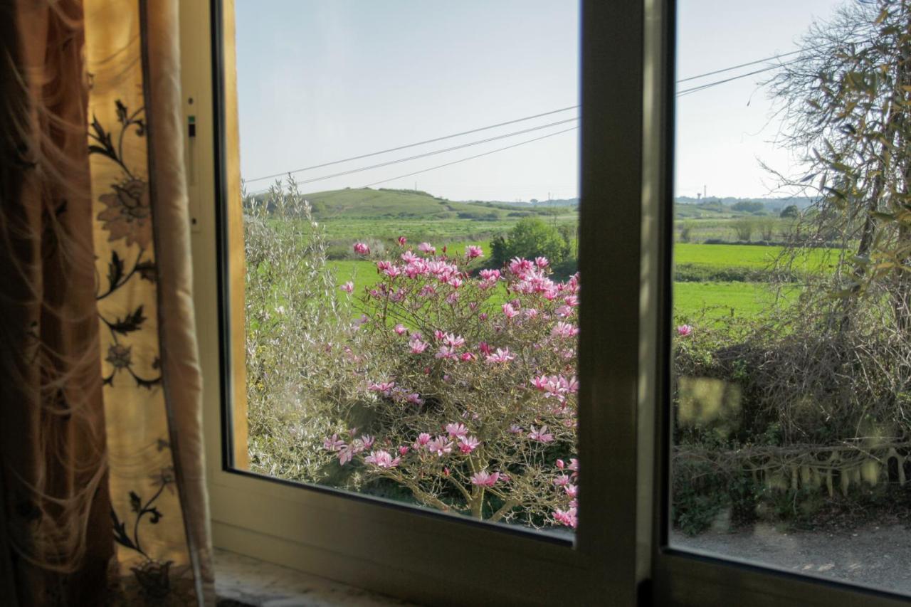 Bed and Breakfast Il Casale Di Gardenia Cesano Екстер'єр фото